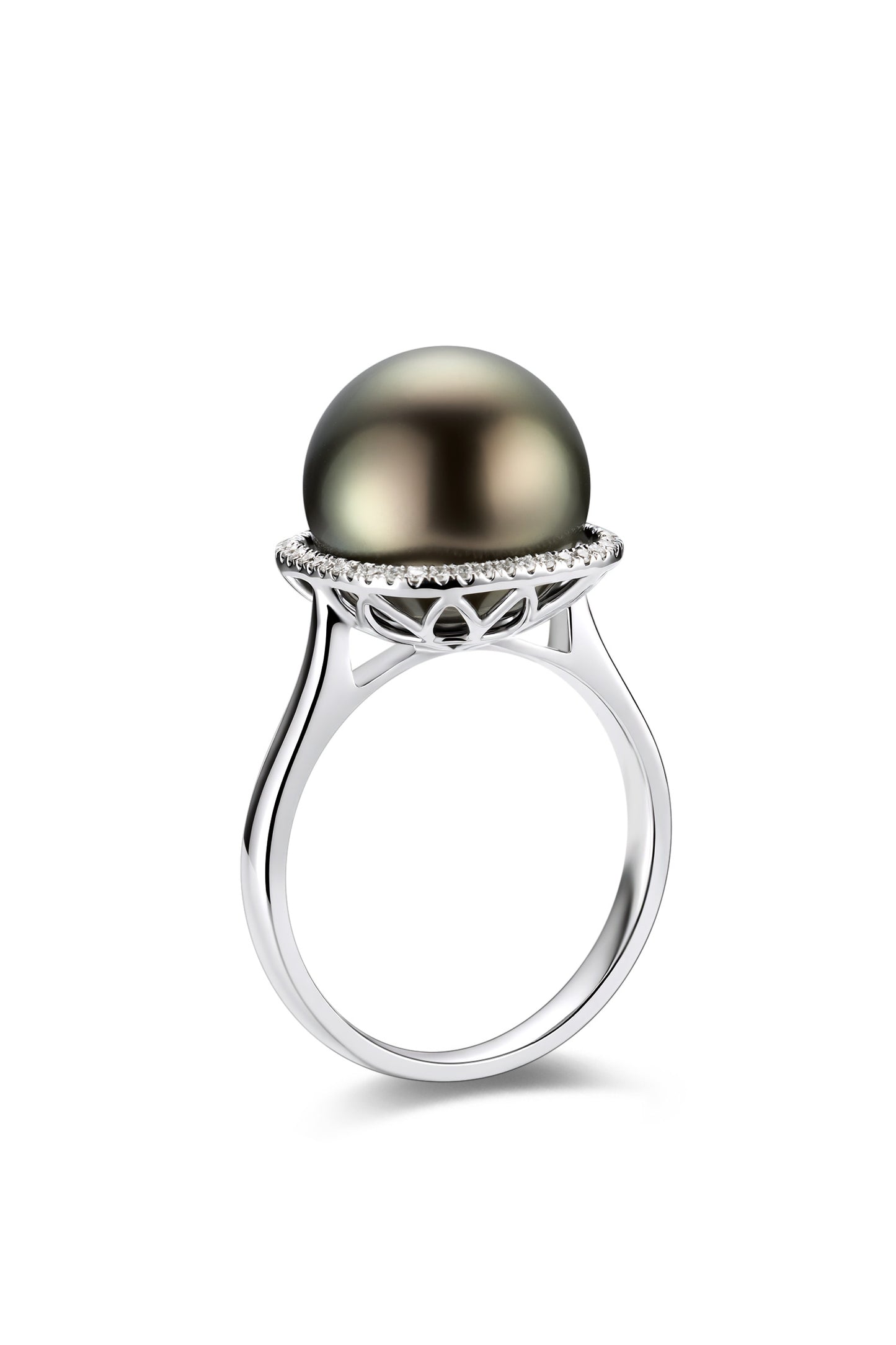9K anillo de oro blanco, con perla de Tahití de 14 mm y 36 brillantes diamantes