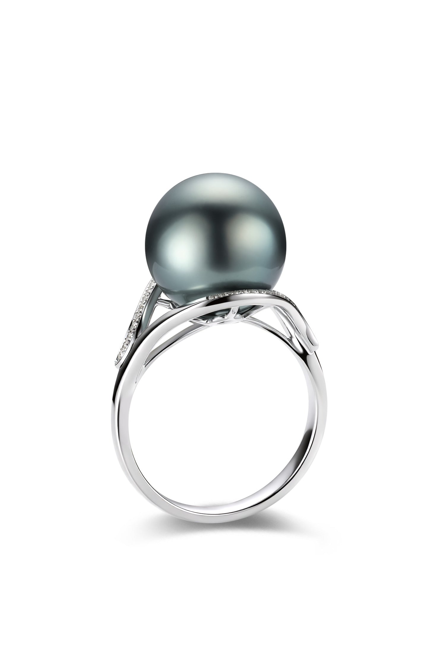 9K anillo de oro blanco, con perla de Tahití de 11,8 mm y 44 brillantes diamantes