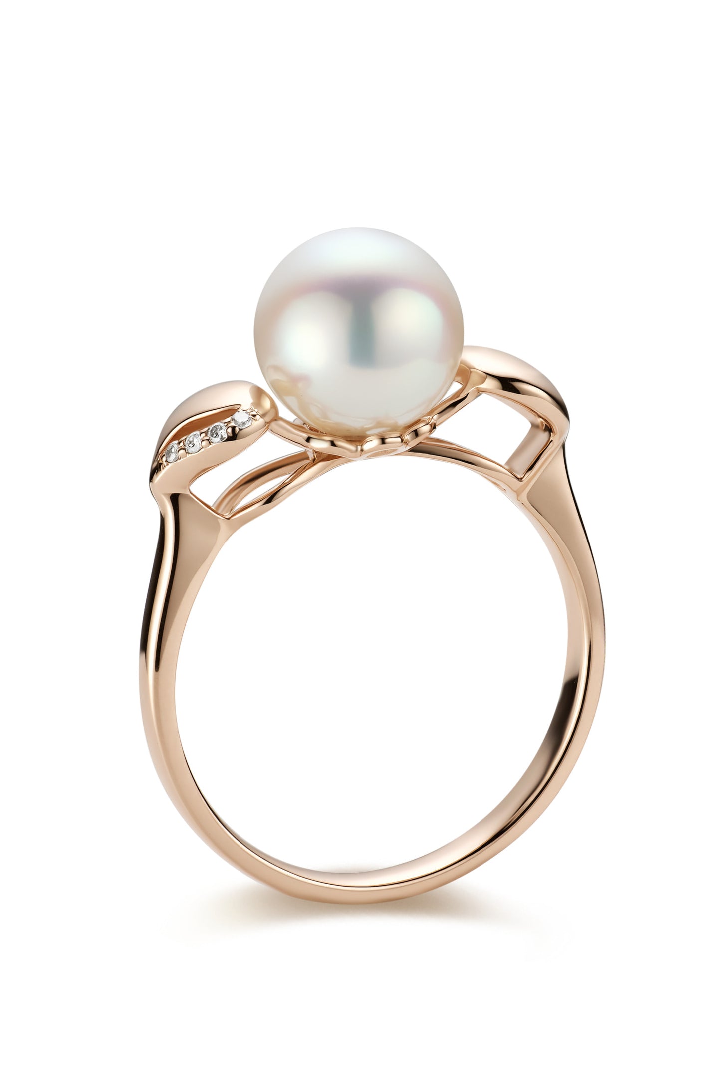 9K anillo de oro blanco, con perla Akoya de 3,8 mm y 8 brillantes diamantes